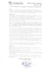 Vista preliminar de documento 264