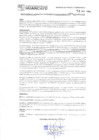Vista preliminar de documento 283