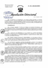 Vista preliminar de documento RD N°195-2024-DG/HNHU