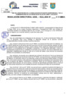 Vista preliminar de documento Resolucion Directoral N° 004389-2024