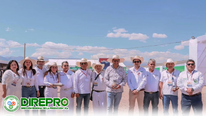 Brindis por el Día Nacional del Pisco