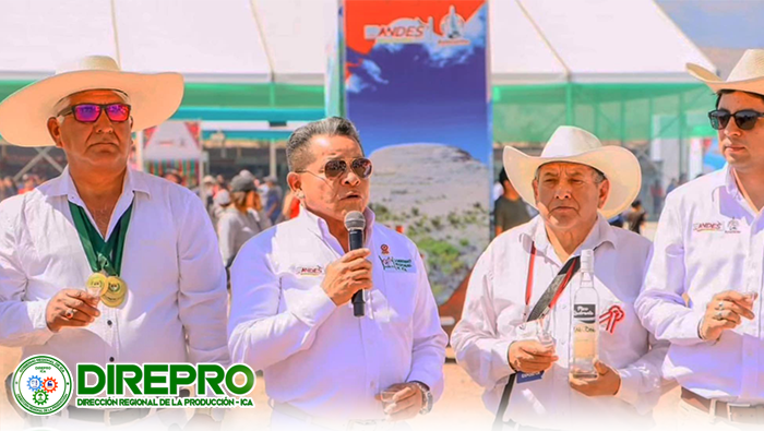 Brindis por el Día Nacional del Pisco
