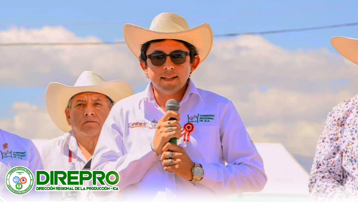 Brindis por el Día Nacional del Pisco