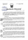 Vista preliminar de documento RD N°197-2024-DG/HNHU