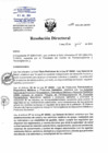 Vista preliminar de documento RD N°171-2024-DG/HNHU