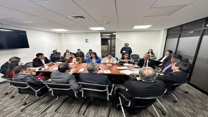 Desarrollo de la 7ma mesa técnica del grupo multisectorial de trabajo para la implementación de la Ley N° 31808.