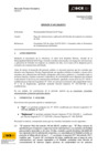 Vista preliminar de documento Opinión 047-2024-DTN - MUN.DIST.EL TINGO