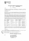 Vista preliminar de documento rsgp23163