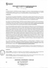 Vista preliminar de documento rsgp23174