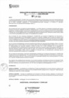 Vista preliminar de documento rsgp23315