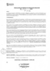Vista preliminar de documento rsgp23327