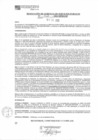 Vista preliminar de documento rsgp23346