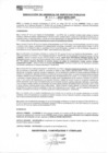 Vista preliminar de documento rsgp23451