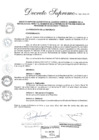 Vista preliminar de documento DS N° 024-2024-RE