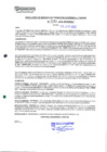 Vista preliminar de documento 2101