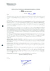 Vista preliminar de documento 2333