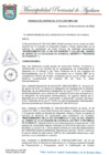 Vista preliminar de documento RESOLUCION GERENCIAL N° 312-2022-MPA-GM