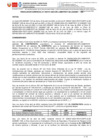 Vista preliminar de documento RG191