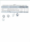 Vista preliminar de documento Anexo N° 140-2016-DV-PE