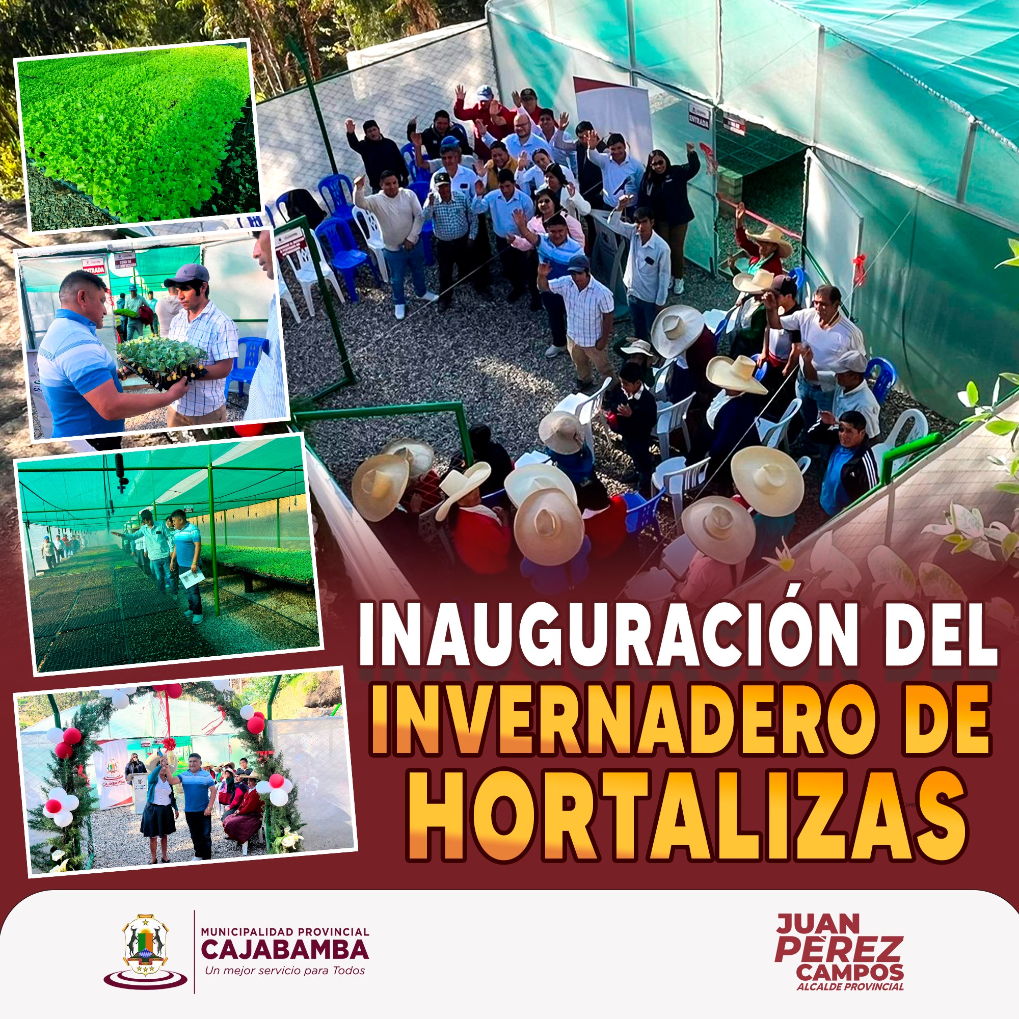 Inauguración del invernadero de hortalizas