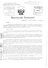 Vista preliminar de documento Resolucion Directoral Hospital Nacional HNDAC