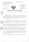 Vista preliminar de documento Resolucion Directoral Hospital Nacional HNDAC