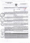 Vista preliminar de documento RD N°0095