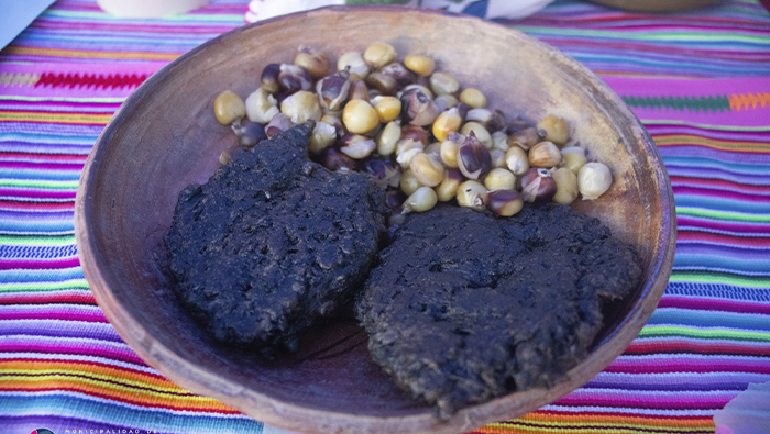 gastronomia