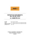 Vista preliminar de documento Reporte de Seguimiento PEI - I Semestre 2024