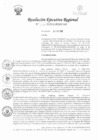 Vista preliminar de documento RER-038-2020-GRSM-GR