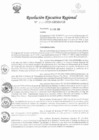 Vista preliminar de documento RER-040-2020-GRSM-GR