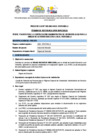 Vista preliminar de documento PROCESO CAS N° 028 -2024 ASESOR DE DIRECCION-DIR