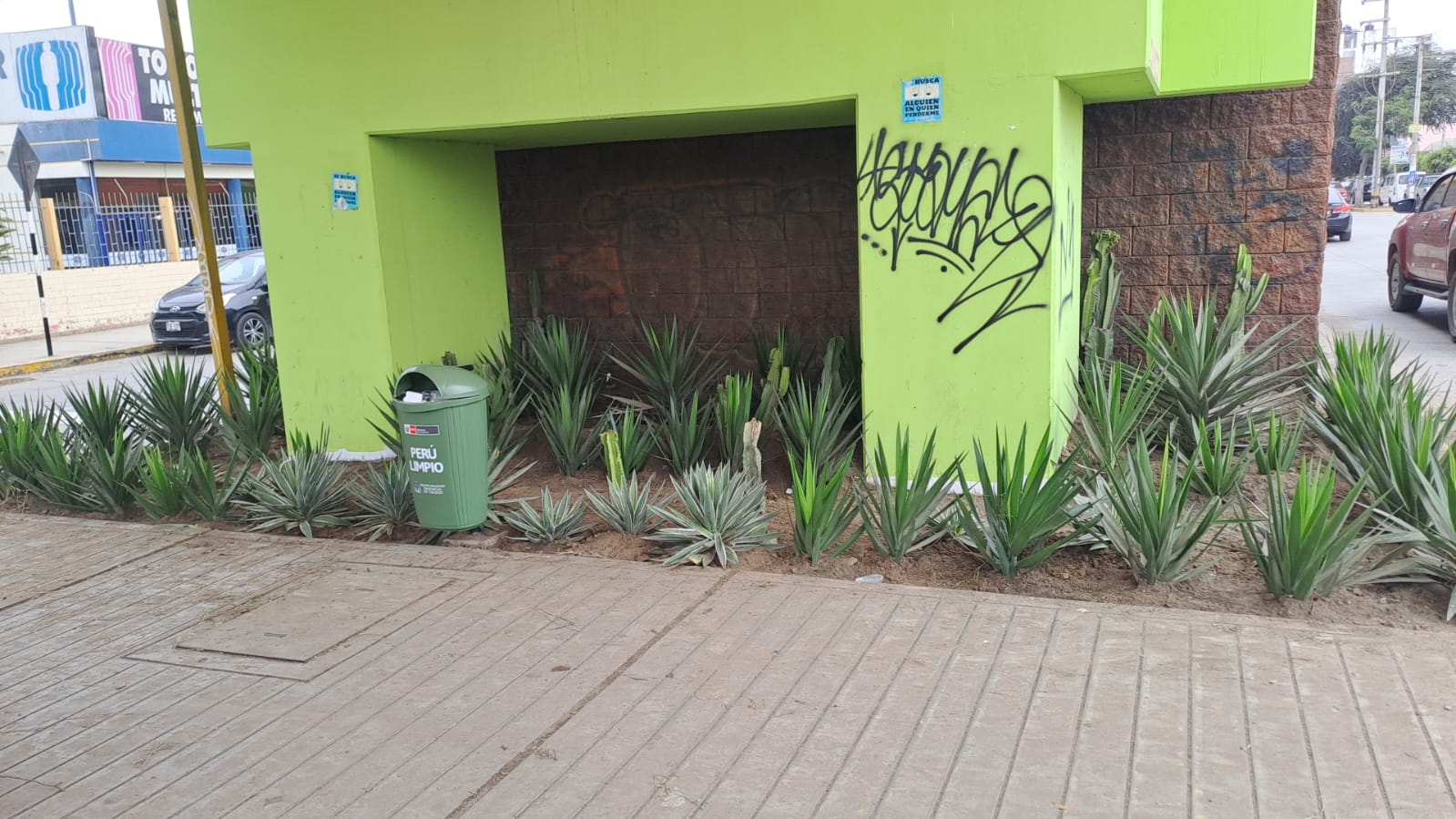 Zona usada con urinario público fue convertida en área verde