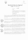Vista preliminar de documento RER-058-2020-GRSM-GR