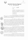Vista preliminar de documento RER-060-2020-GRSM-GR