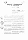 Vista preliminar de documento RER-061-2020-GRSM-GR