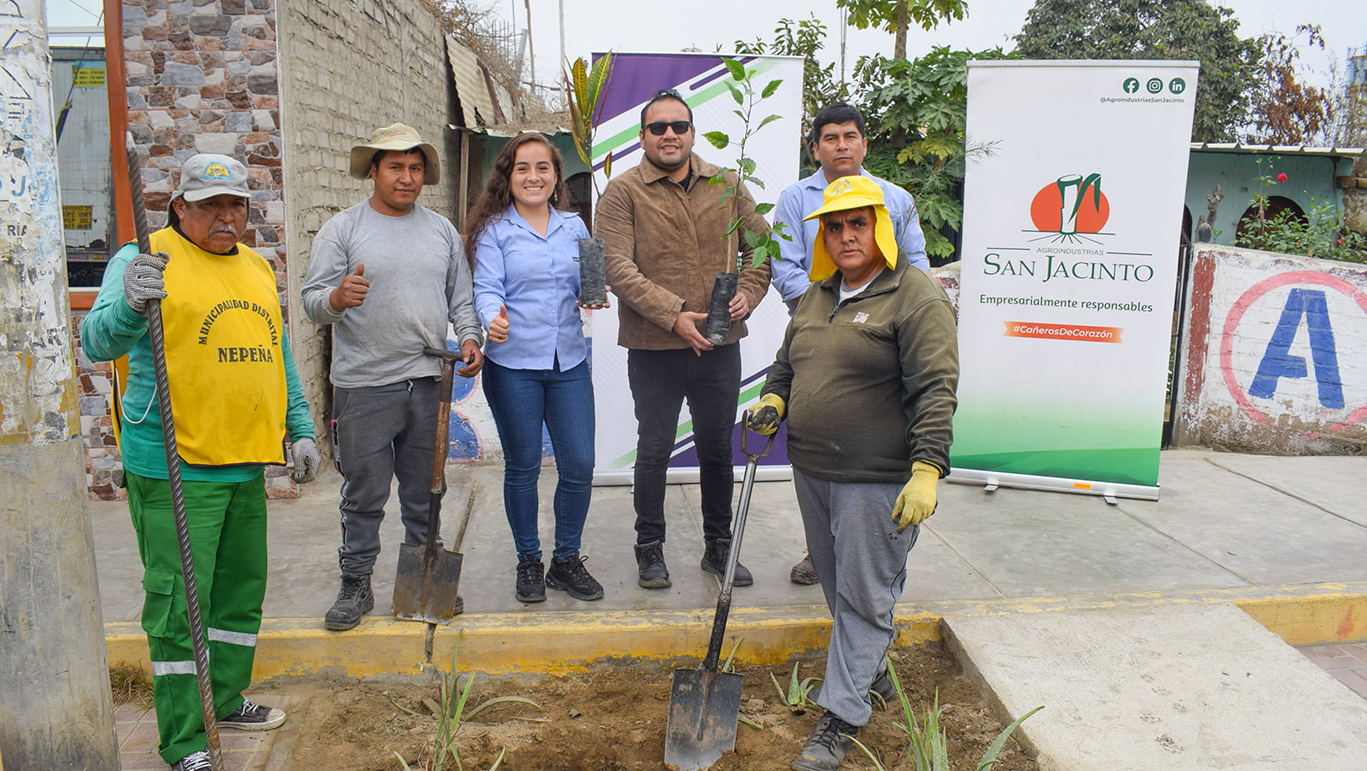 Empresas privadas donan 124 plantones para jornada de arborización 