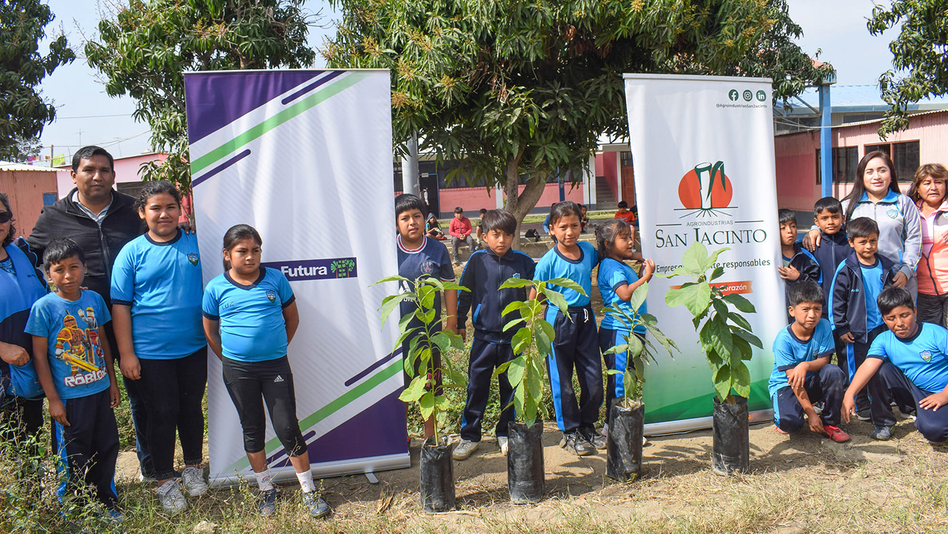 Empresas privadas donan 124 plantones para jornada de arborización 