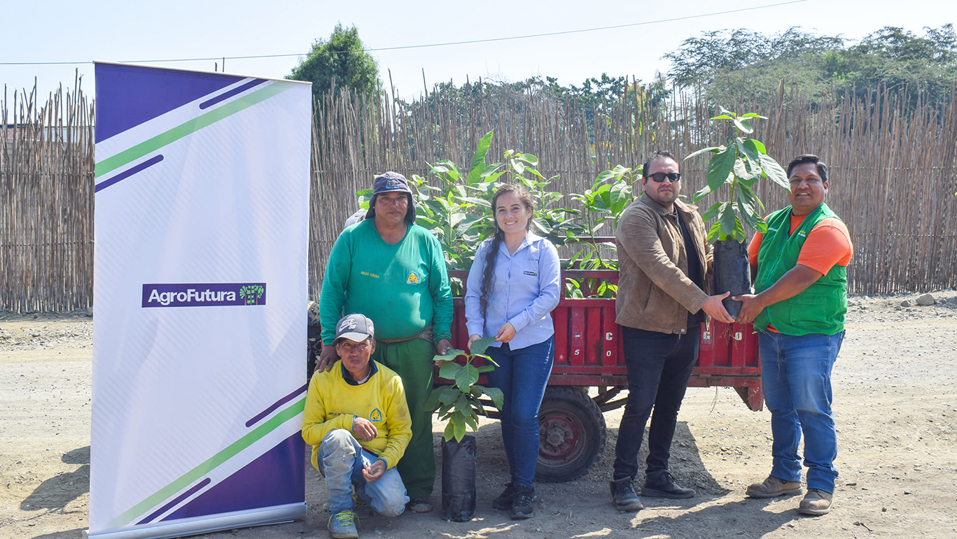 Empresas privadas donan 124 plantones para jornada de arborización 