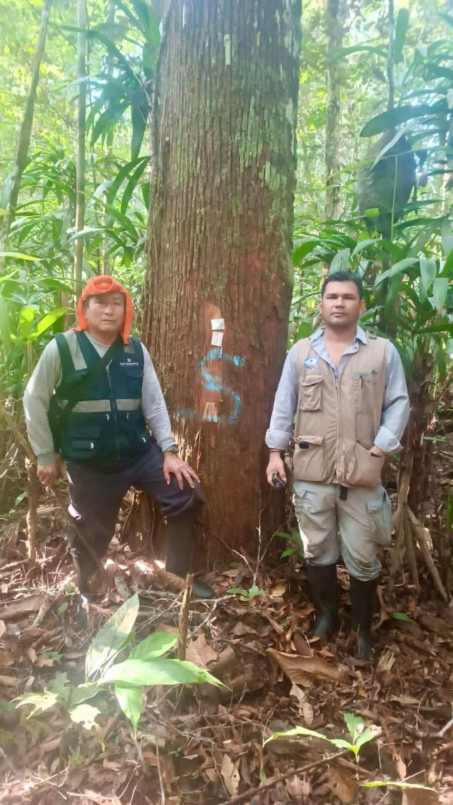 GERFOR realizó inspección ocular en la comunidad nativa pampa hermosa para la aprobación de su plan operativo