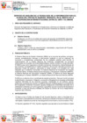 Vista preliminar de documento TDR
