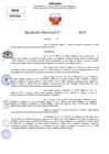 Vista preliminar de documento Resolucion Directoral N° 004419-2024