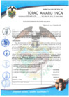 Vista preliminar de documento RESOLUCION DE ALCALDIA N° 175-2020-ALC-MDTAI