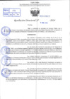 Vista preliminar de documento R.D 0617-2024