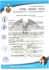 Vista preliminar de documento RESOLUCION DE ALCALDIA N° 172-2020-ALC-MDTAI
