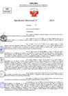Vista preliminar de documento Resolucion Directoral N° 004425-2024