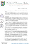 Vista preliminar de documento RESOLUCION GERENCIAL N° 289-2022-MPA-GM