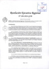 Vista preliminar de documento RER 286-2024-GOB