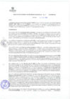 Vista preliminar de documento rgsc232110