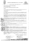 Vista preliminar de documento RES-195-2023